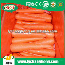 2014 новый урожай свежей моркови разного размера по горячей продаже